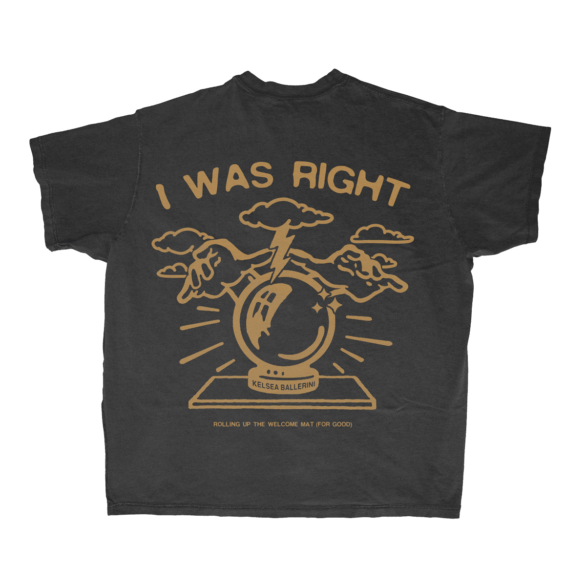 HINDSIGHT SAYS… I WAS RIGHT T-SHIRT