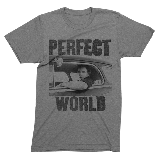 Perfect World Photo Tee
