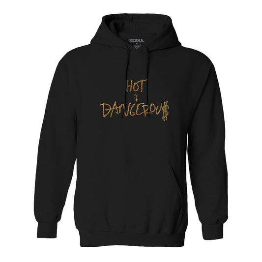 Hot & Dangerous pullover hoodie