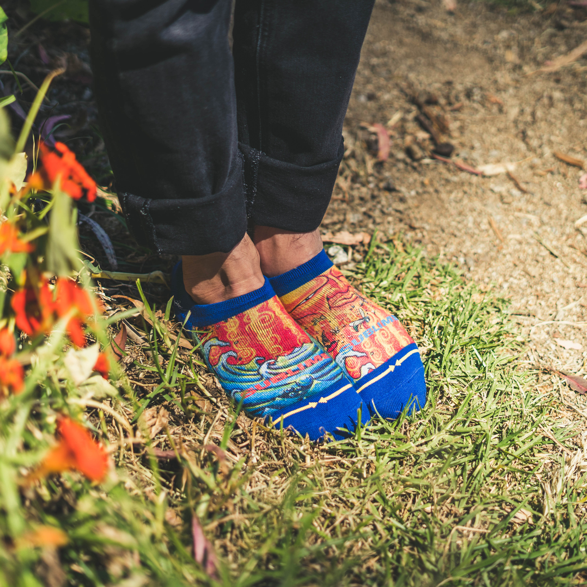 Everything Under the Sun No Show Socks