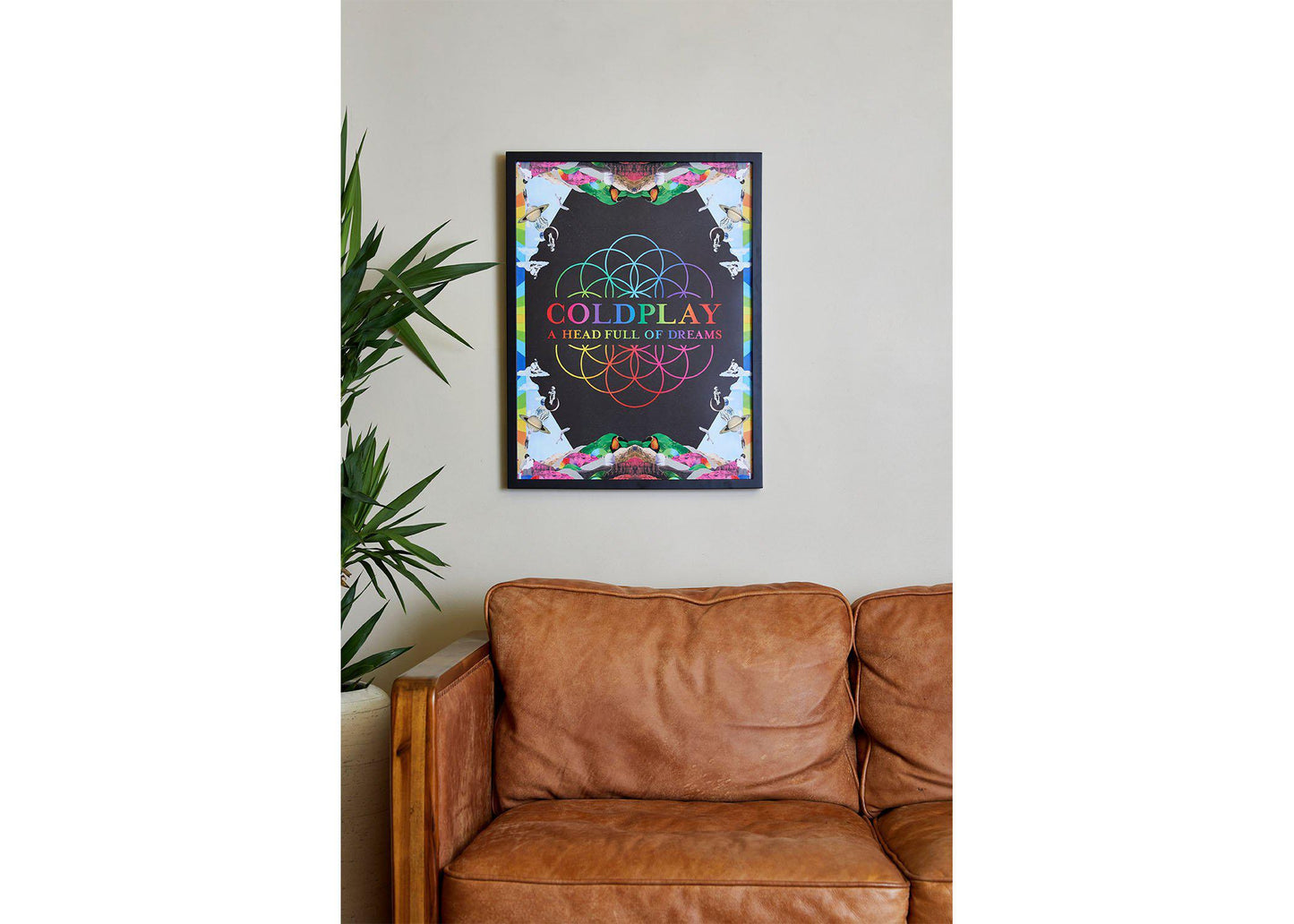 Image 4:
A Head Full Of Dreams Lithograph in a cozy living room, above a wooden, vintage, caramel brown leather sofa. To its left there’s a tall leafy plant in a pot, adding a touch of nature. The wall is beige, and the poster is on a black wooden frame. The bold text and colors provide energy