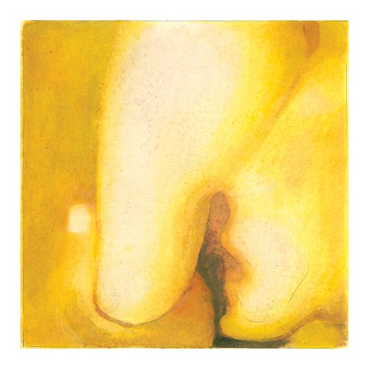 Pisces Iscariot Vinyl